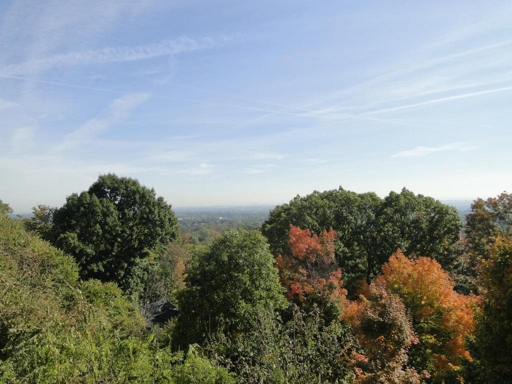 Another great view.