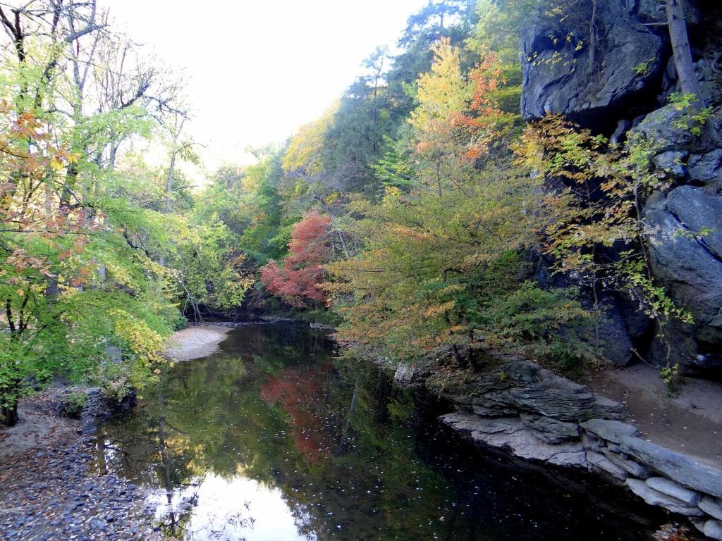 Pennypacker Park