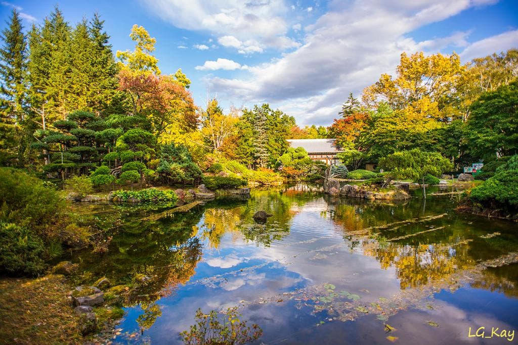 Japanese garden