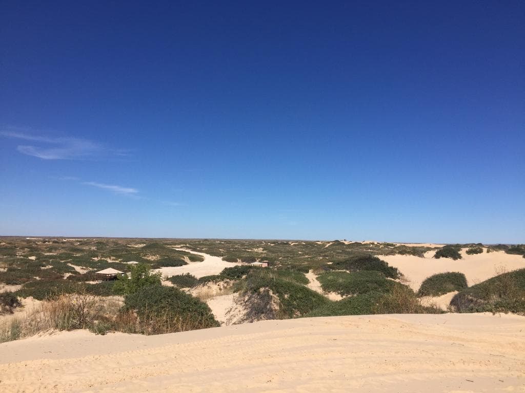 View of the dunes from the top of a tall one