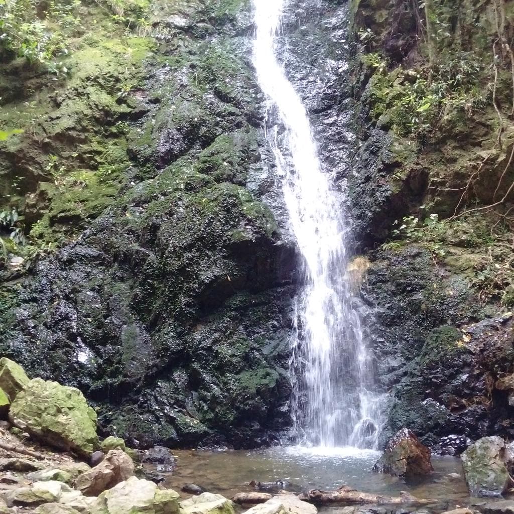 Percy Scenic Reserve