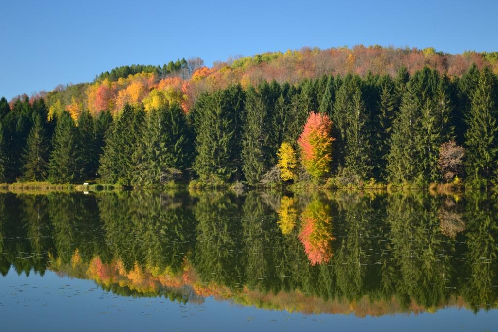morning reflection.