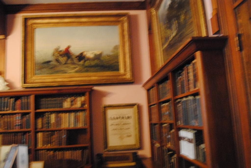 Books, paintings