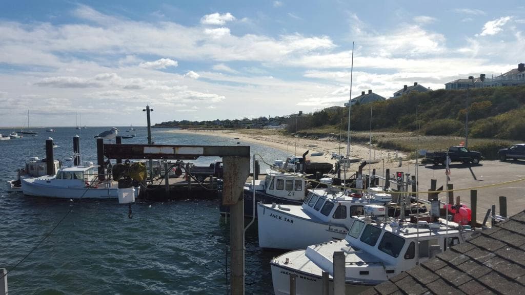 Chatham Fish Pier