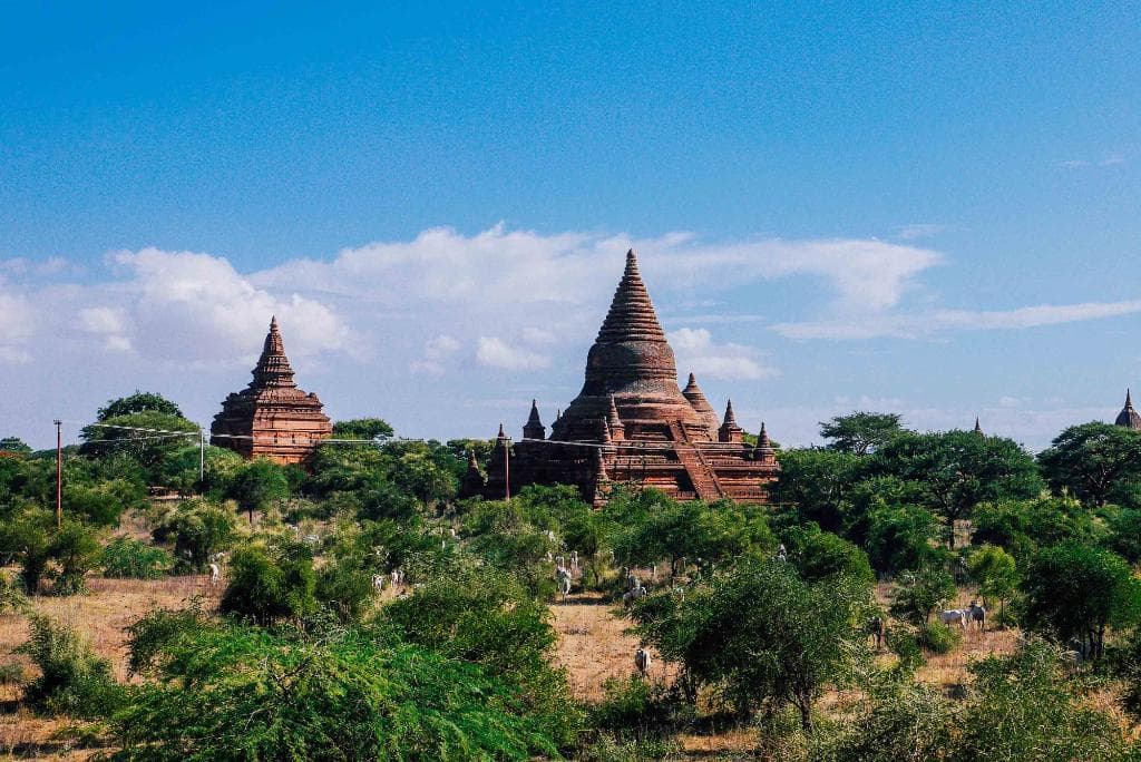 Shwe-gyu-gyi ชเวกูจี