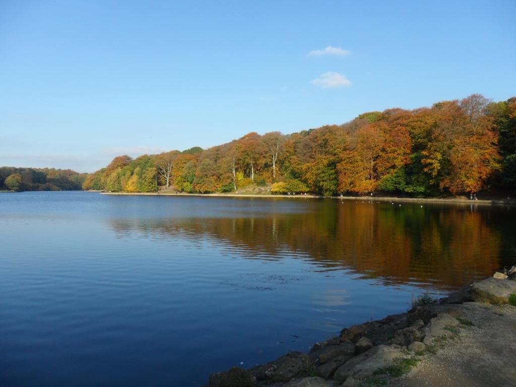 view of lake