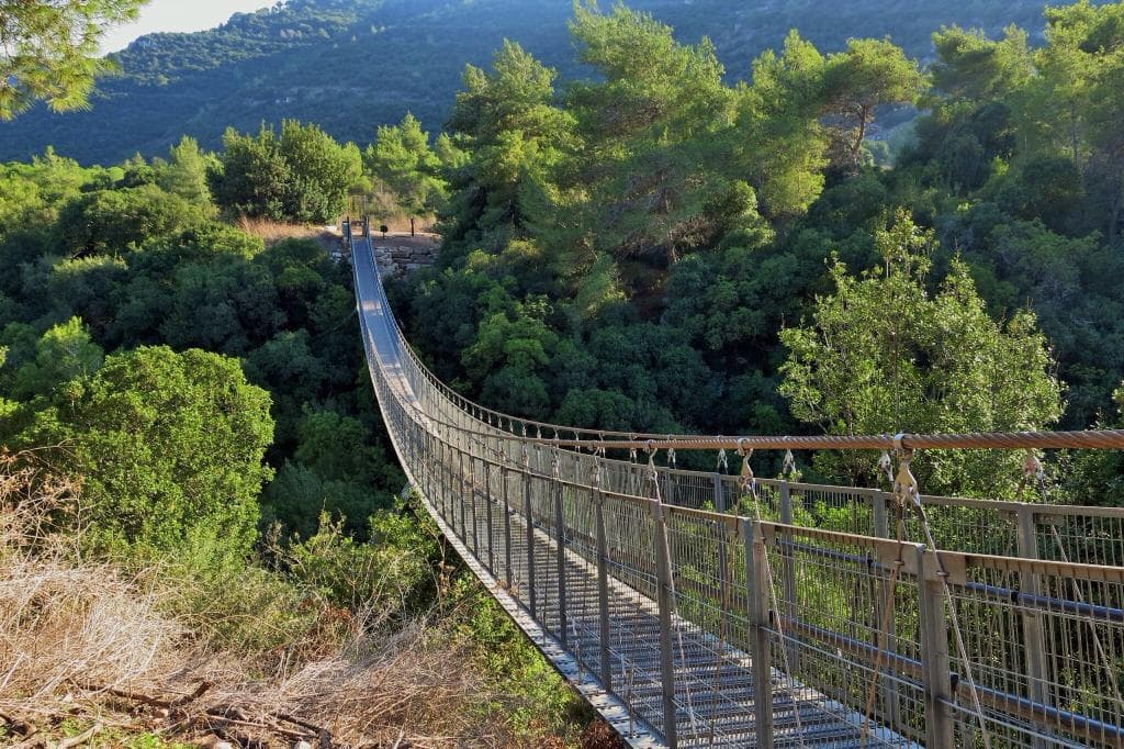 Hanging Bridge at Nesher Park
