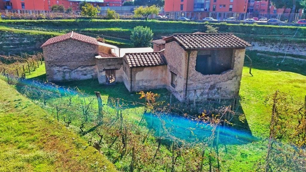 Boscoreale Antiquarium