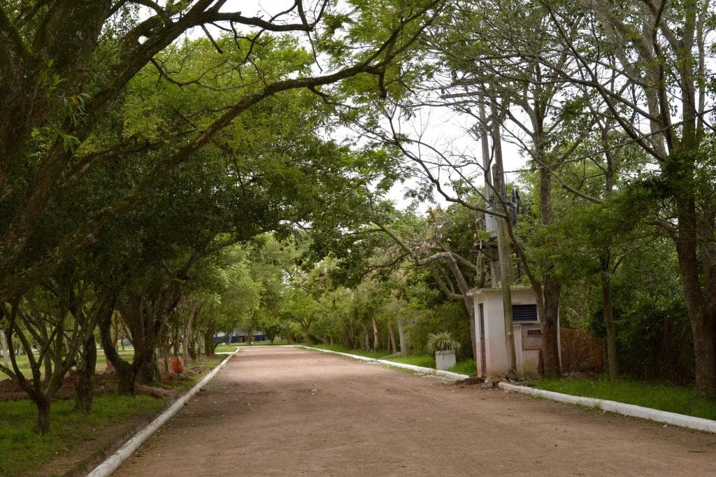 Parque Eduardo Gomes Canoas