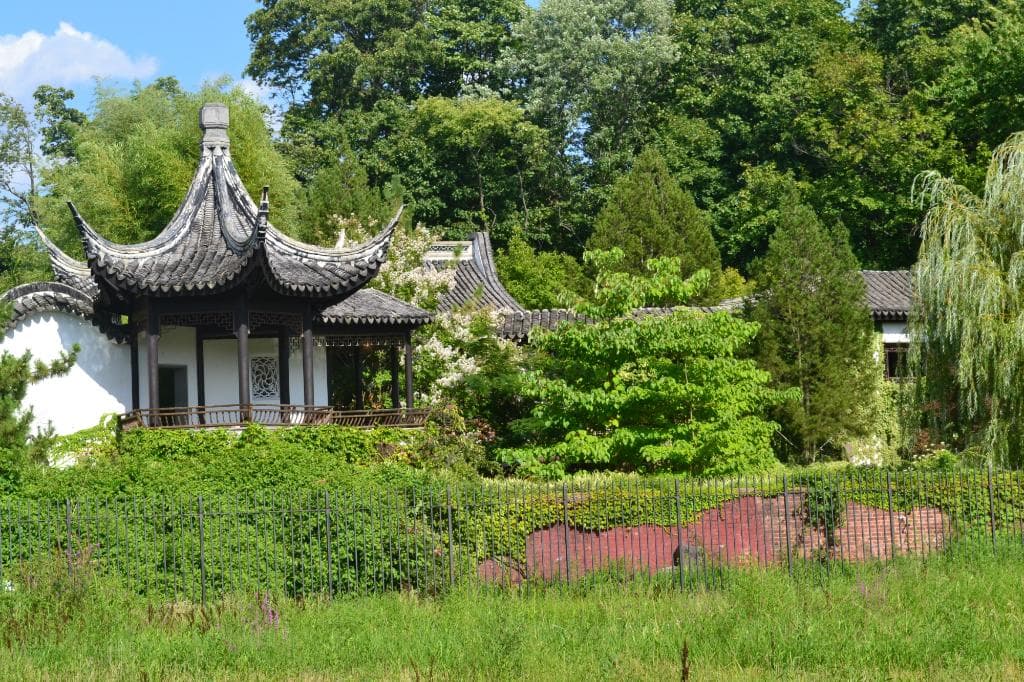 The back of the Scholars Garden