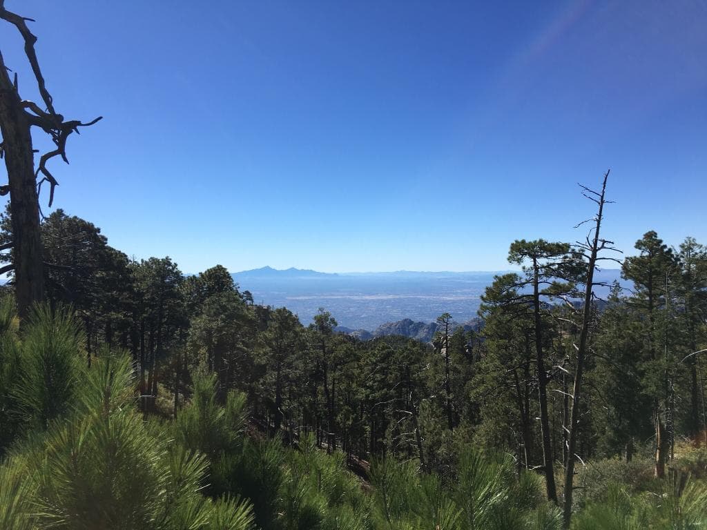 Beautiful scenery all the way up and down