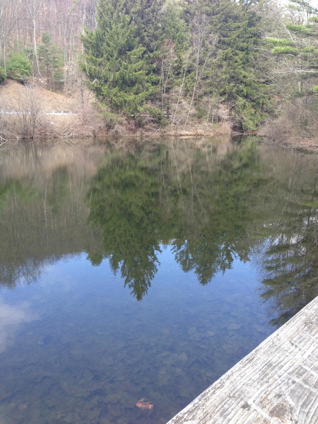 Swink Pond