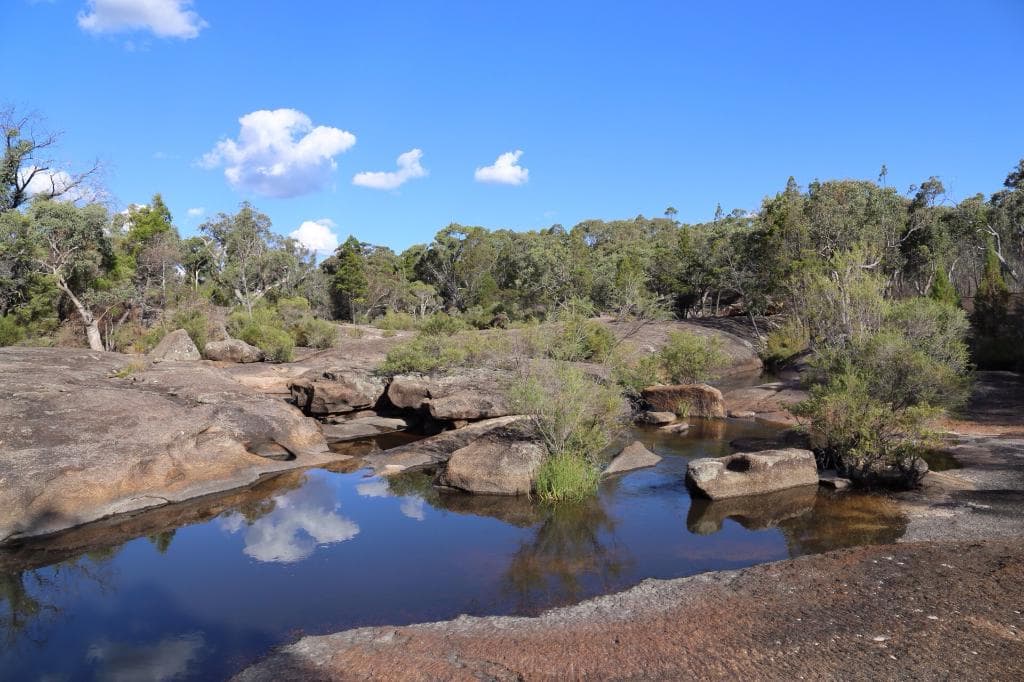 Super parc, bien baliser et pleins de choses à voir accompagner par le bruits des oiseaux et que