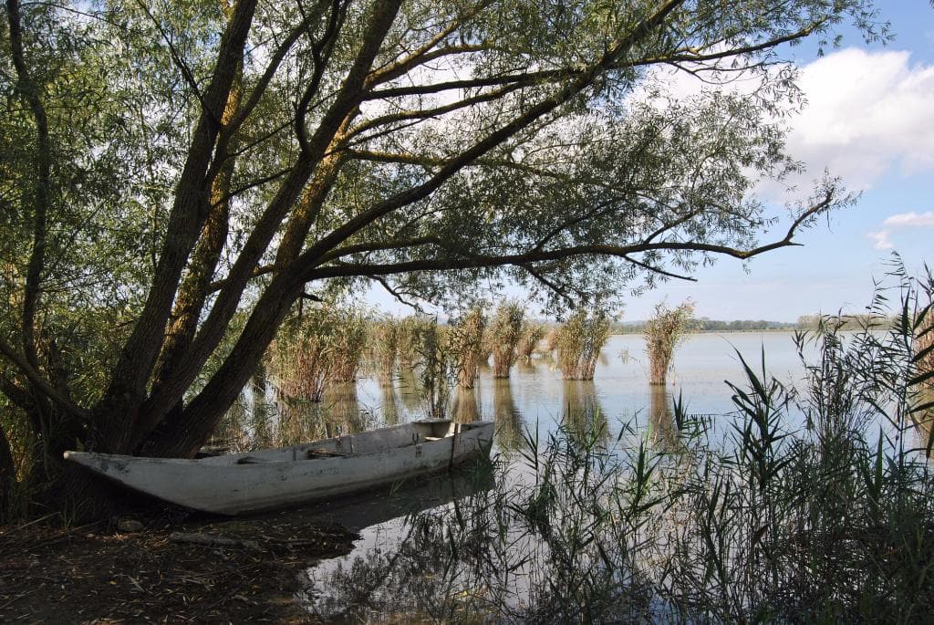 Il lago di Montepulciano