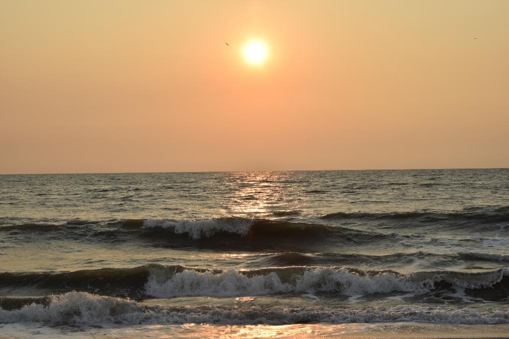 Sunset View