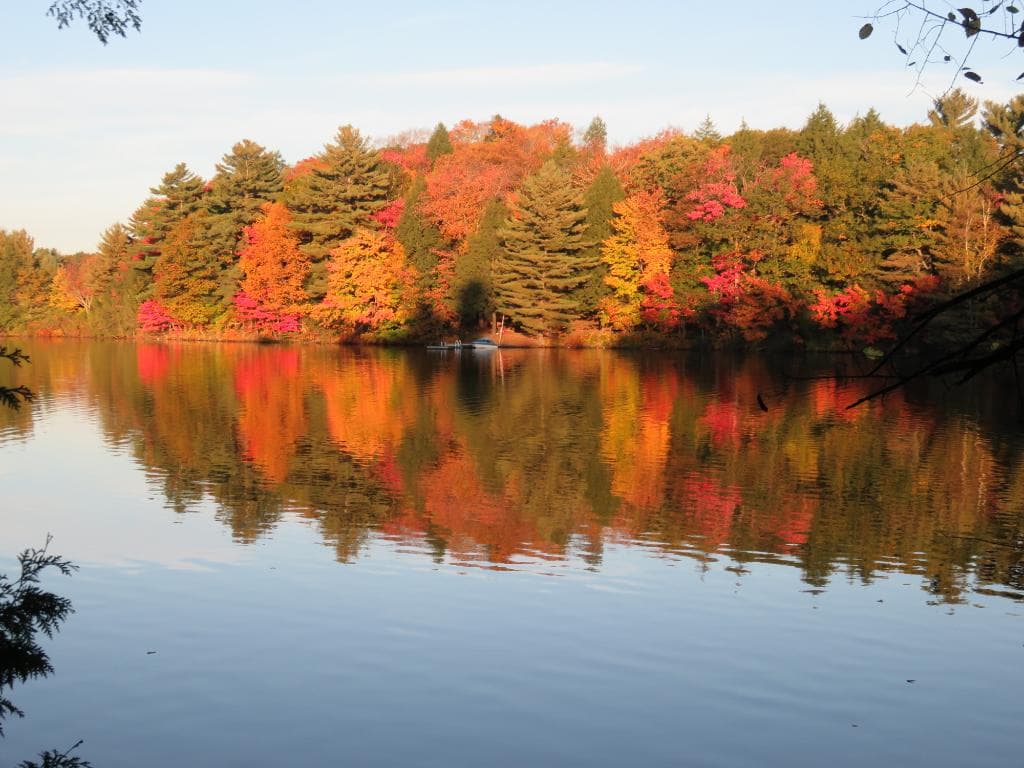 Fall Colours - Oastler Lake Provincial Park Campground 2015