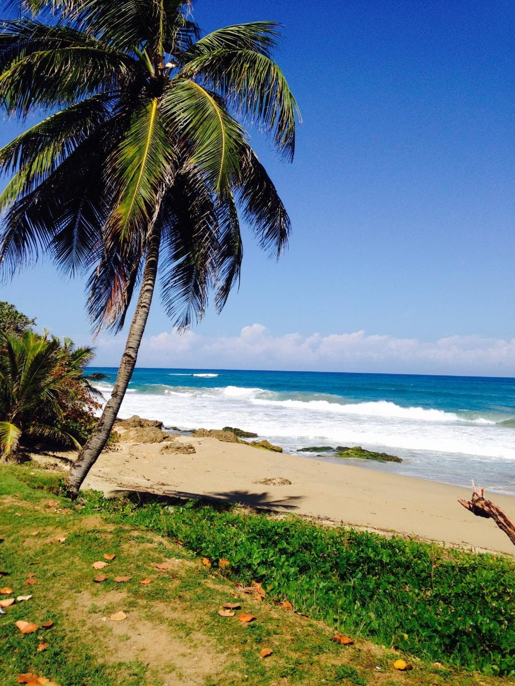 Paradise