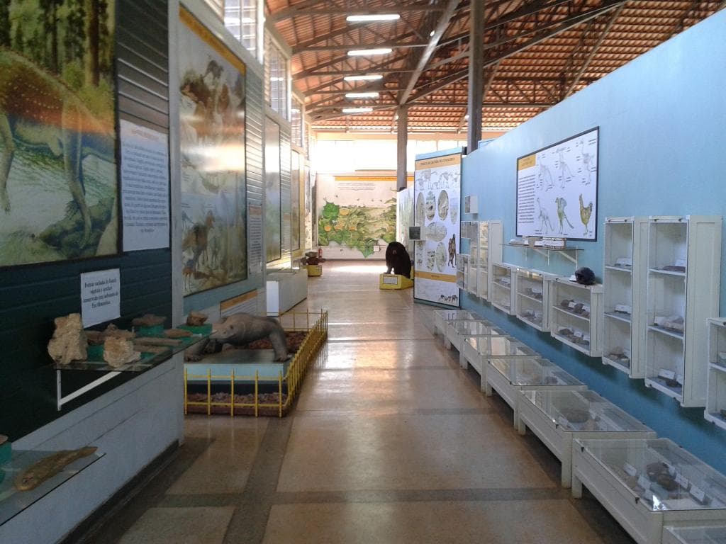 Museu de História Natural