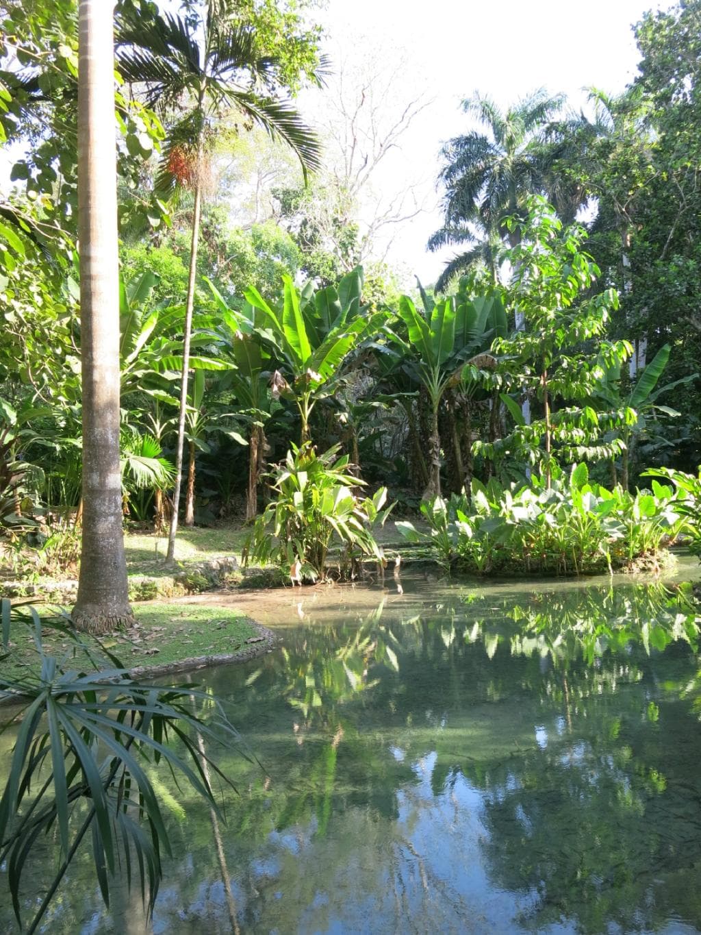 Gardens