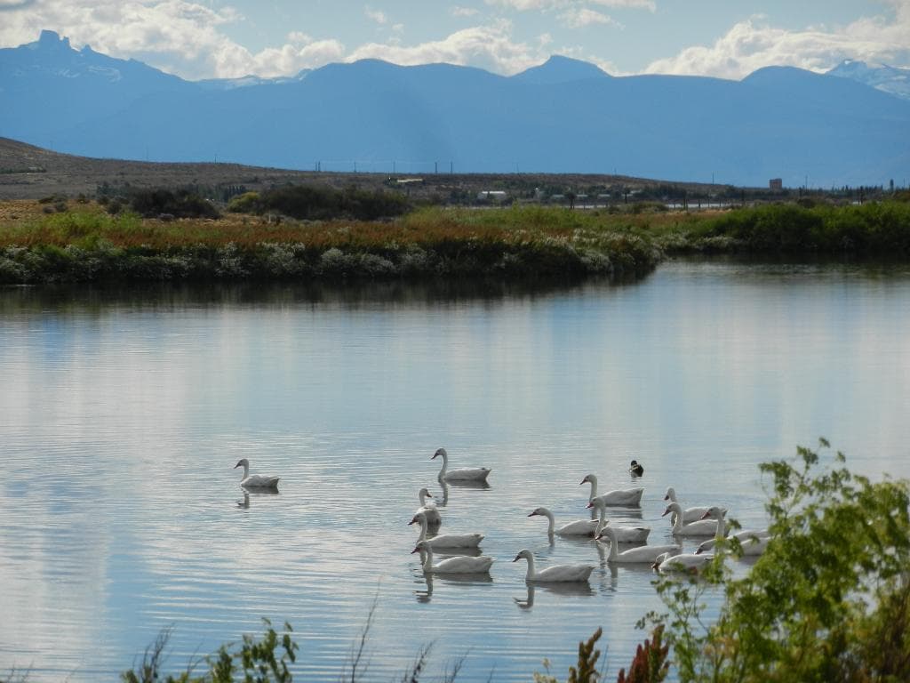 Laguna Nimez