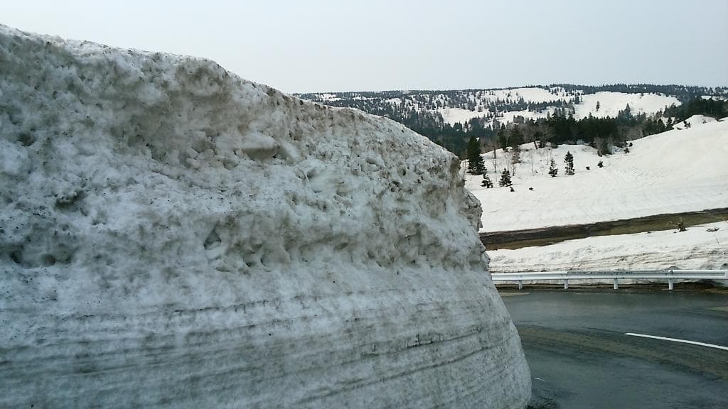 雪の回廊