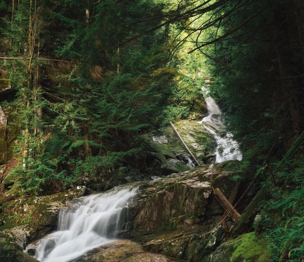 woodland falls