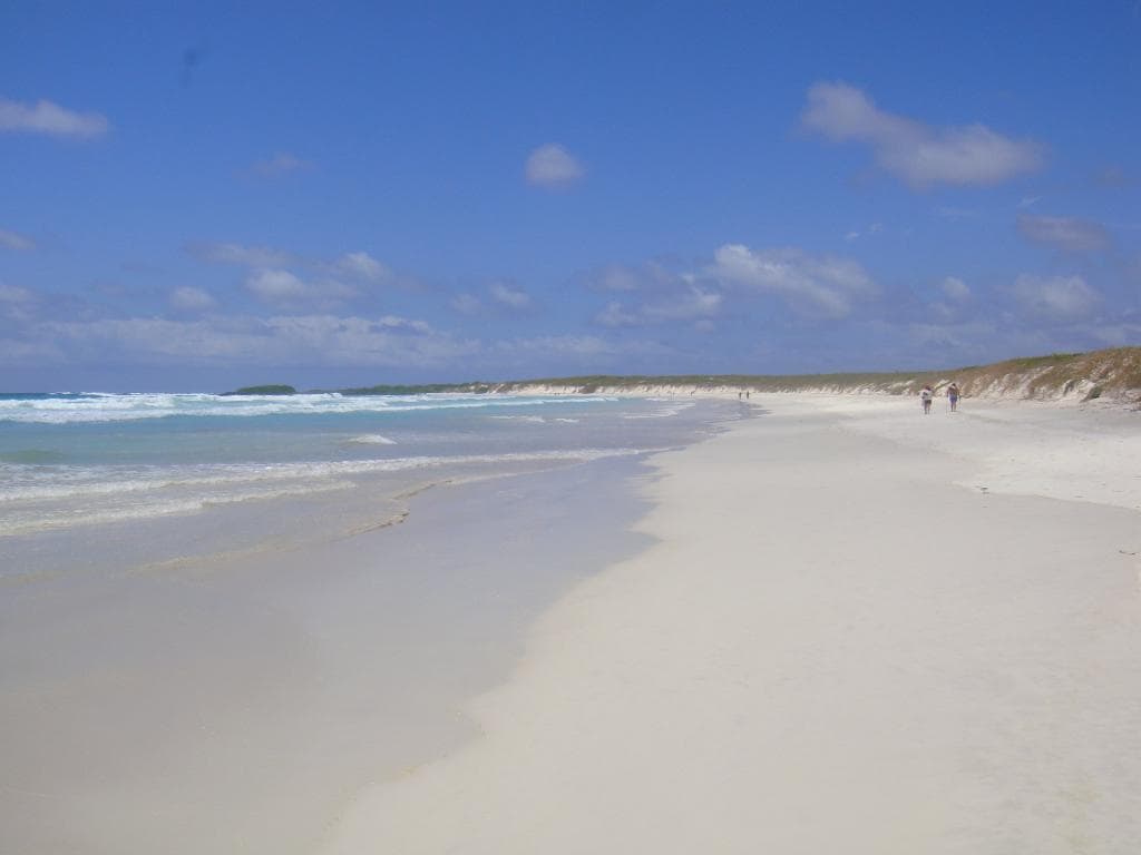 Tortuga bay