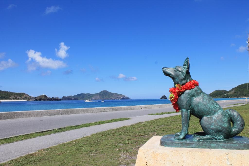 Sympa mais que fait il là?