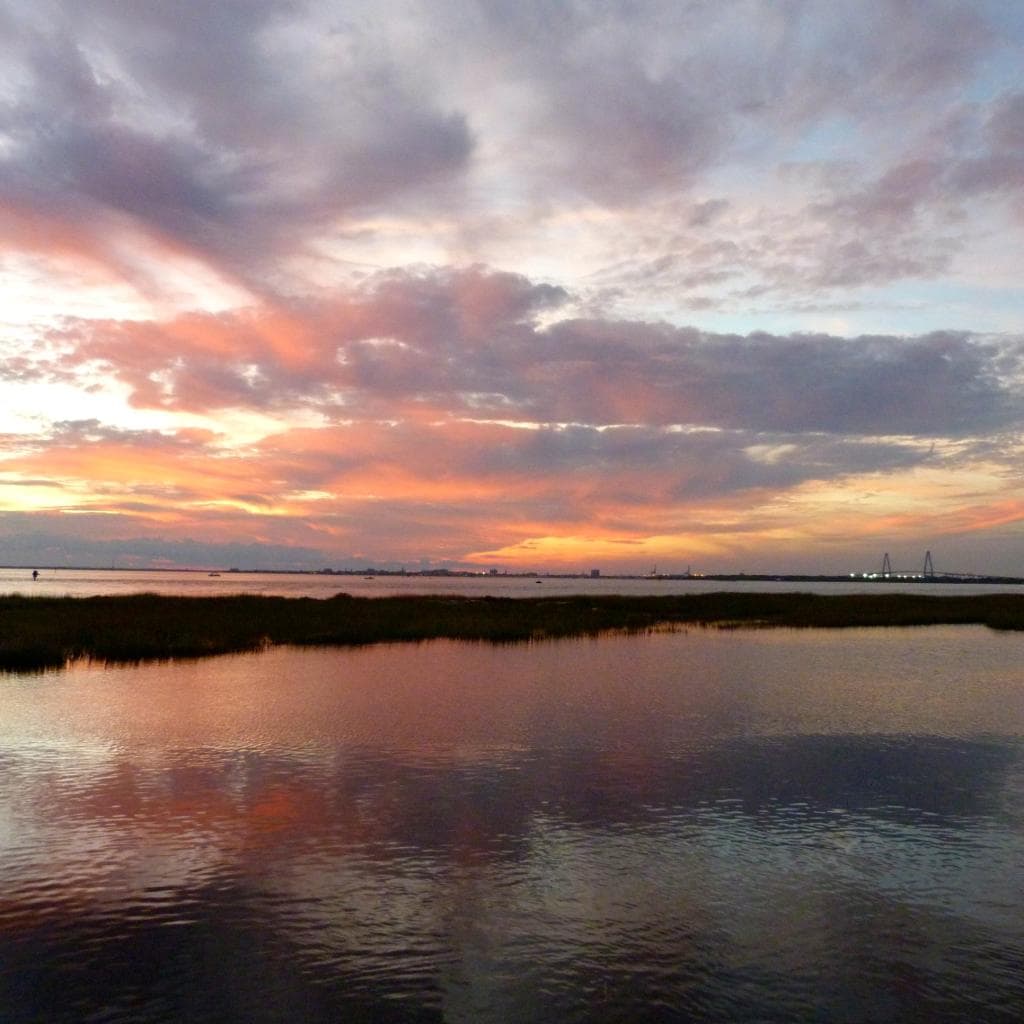 Pitt Street Bridge Park