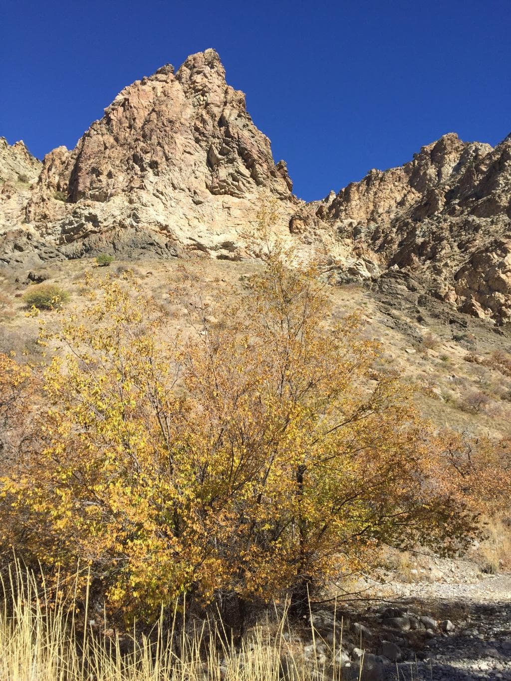 Rock Canyon