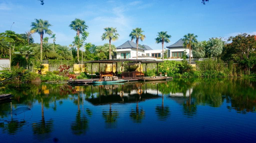 Небольшой пруд в ботаническом саду