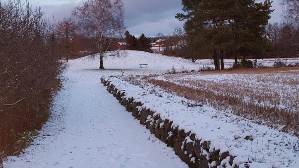 Oseberg Burial Mound