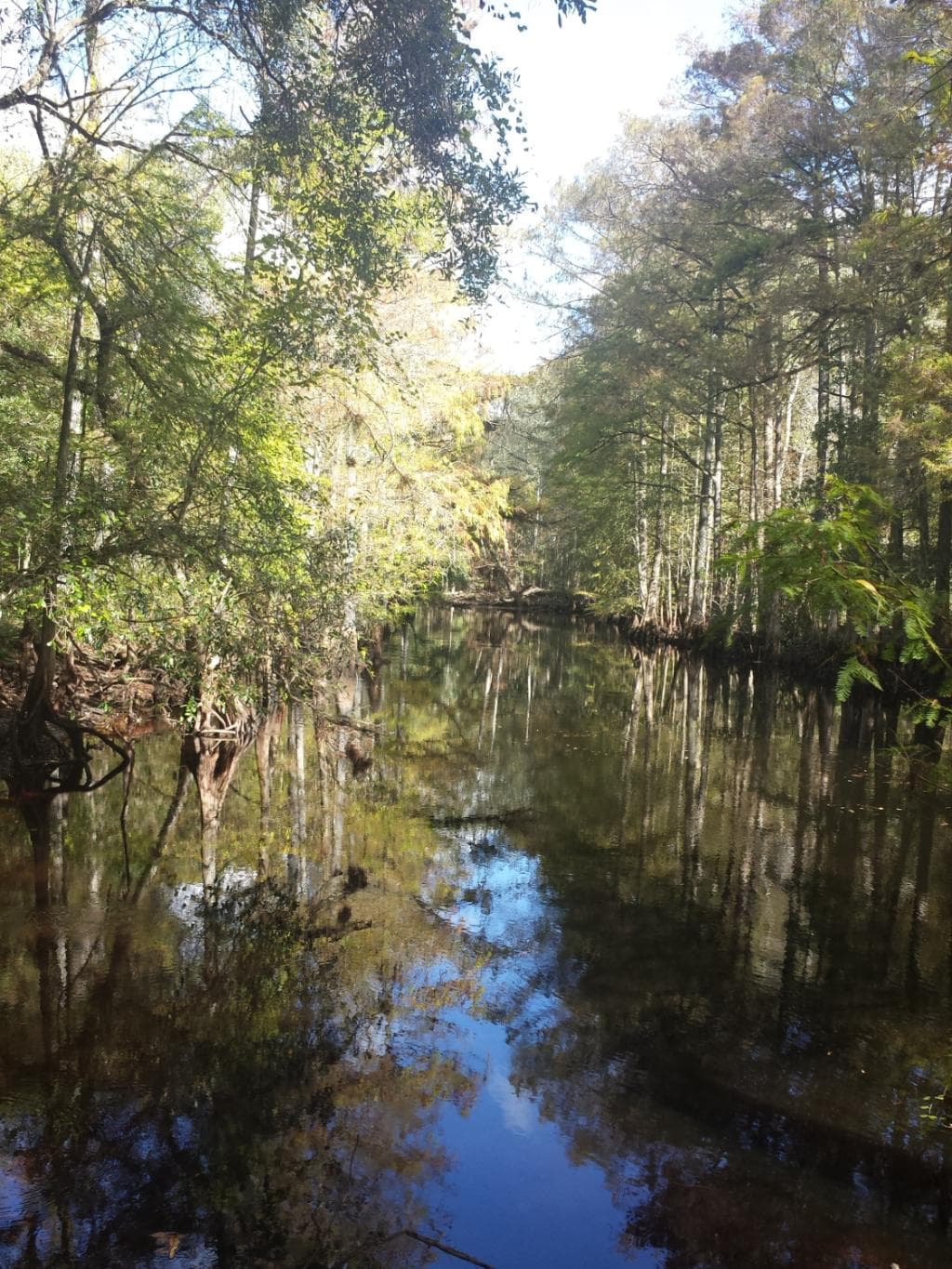 Withlacoochee Trail