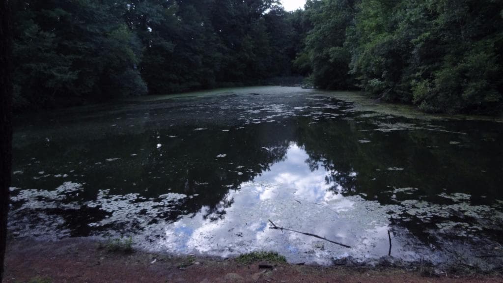 Van Horn Park