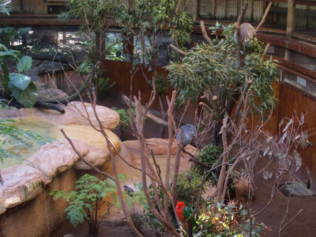Wildlife exhibits