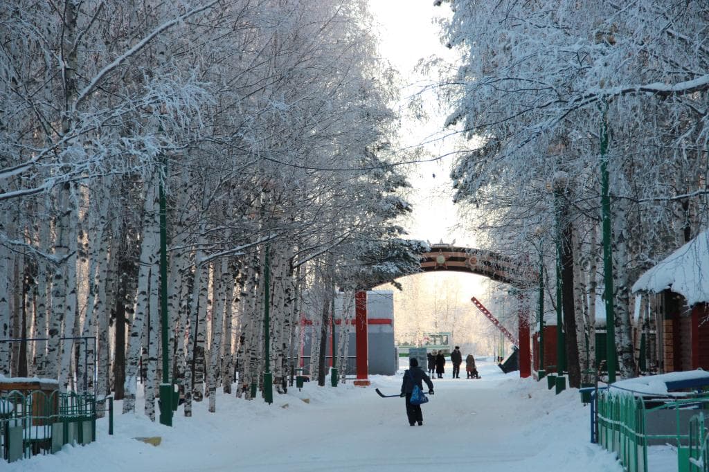 Зимний пейзаж. Парк Победы. г.Нижневартовск