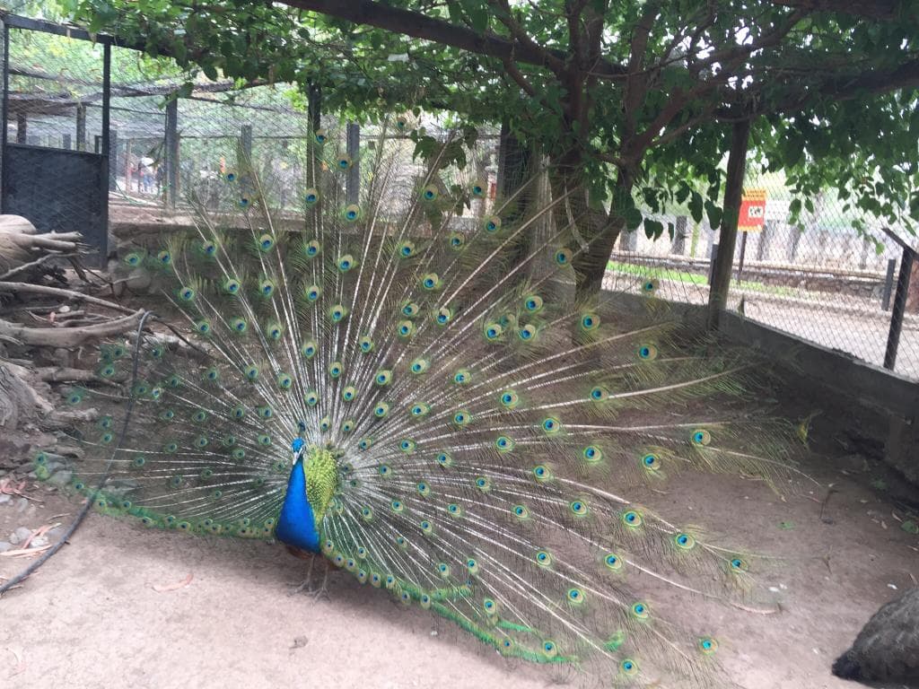 EcoParque Mendoza (Ex-Zoo)