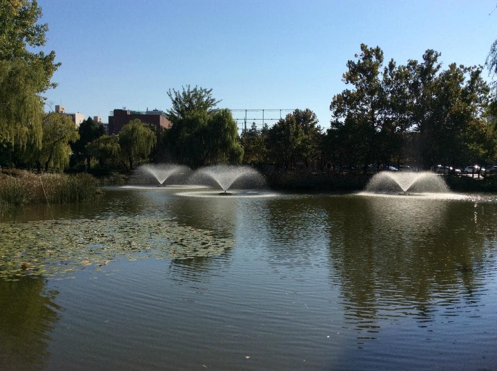 Fountains