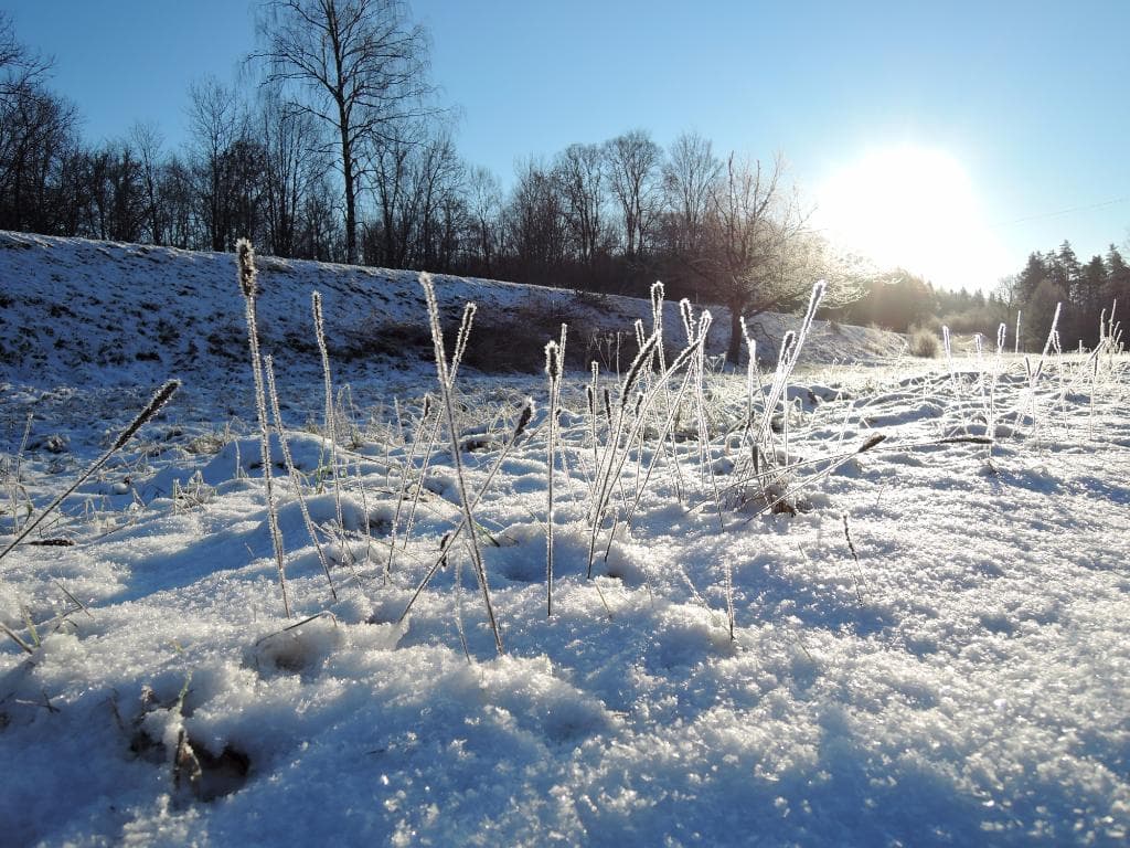 Дорога на мост