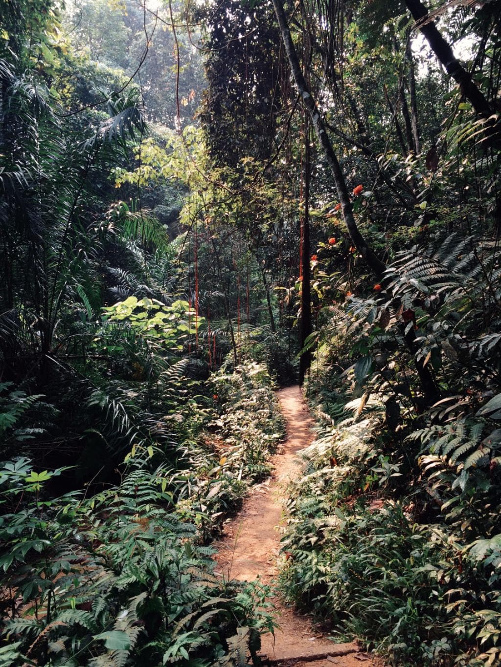 Taman Rimba Bukit Kerinchi Kuala Lumpur