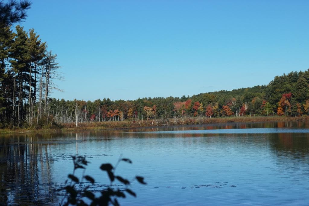 Autumn is a beautiful time on the refuge!