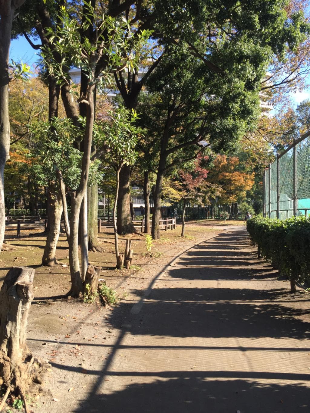 東板橋公園