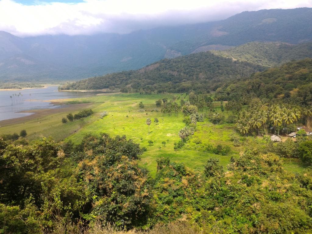 Kava Viewpoint