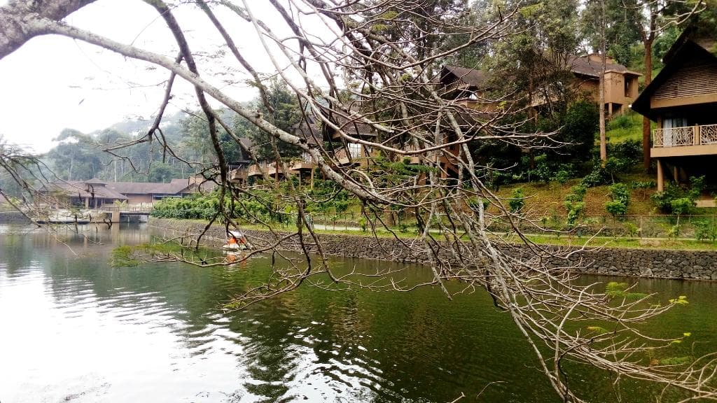 Boating @spice walk