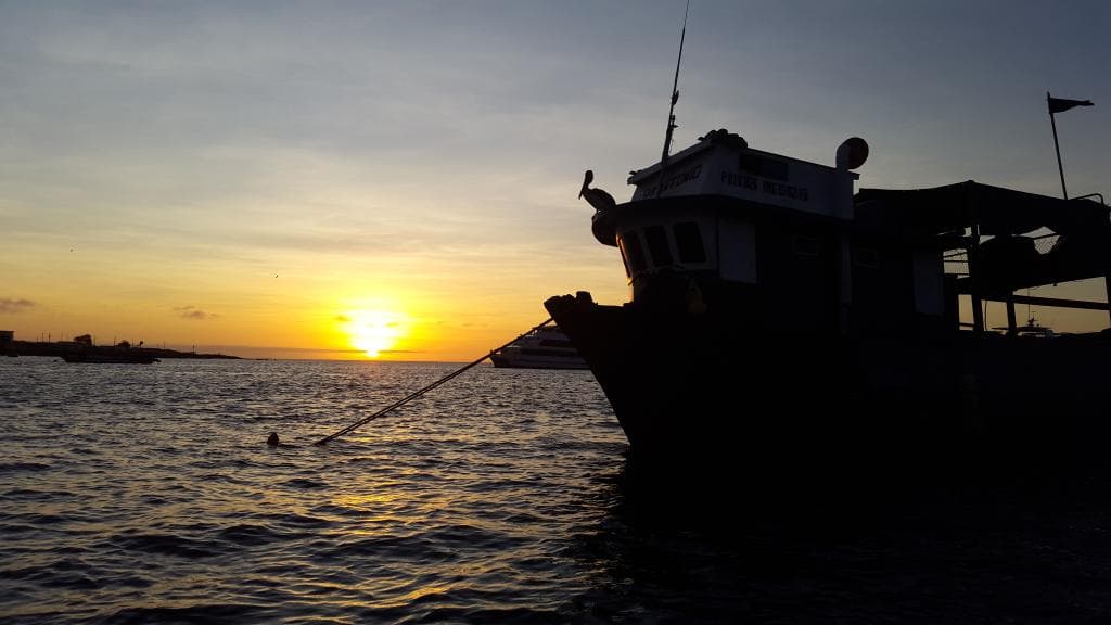 Pescando un atardecer