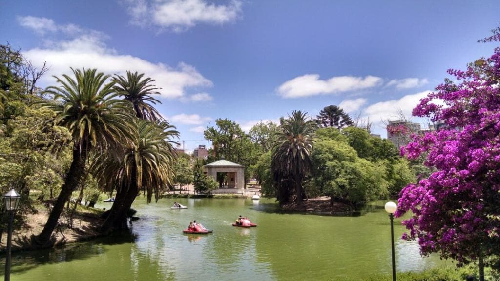 Parque Rodó neighborhood