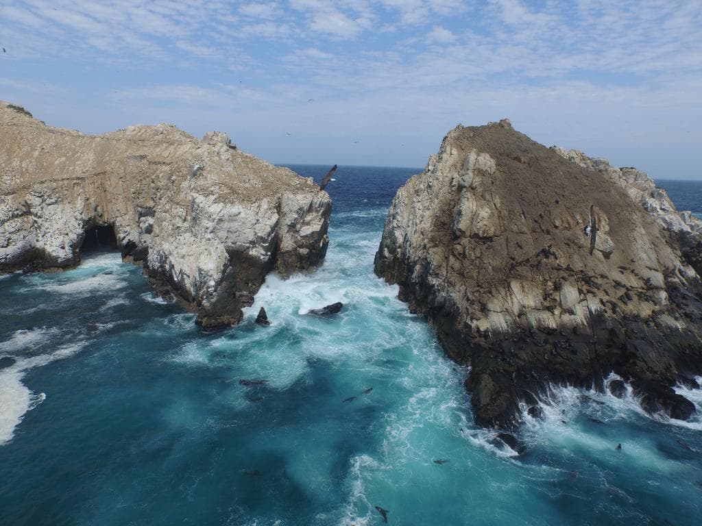 drone shot. must see in person