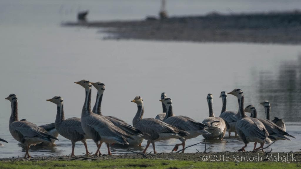 Keetham Lake Sur Sarovar