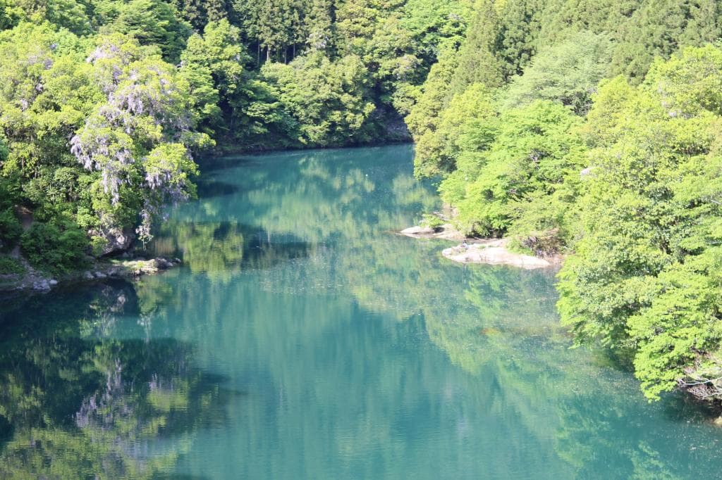 ダム湖