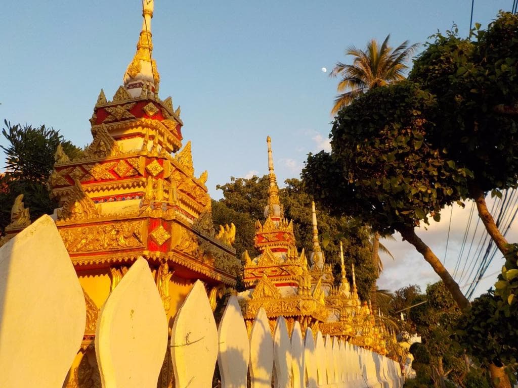 stupe allineate lungo la strada